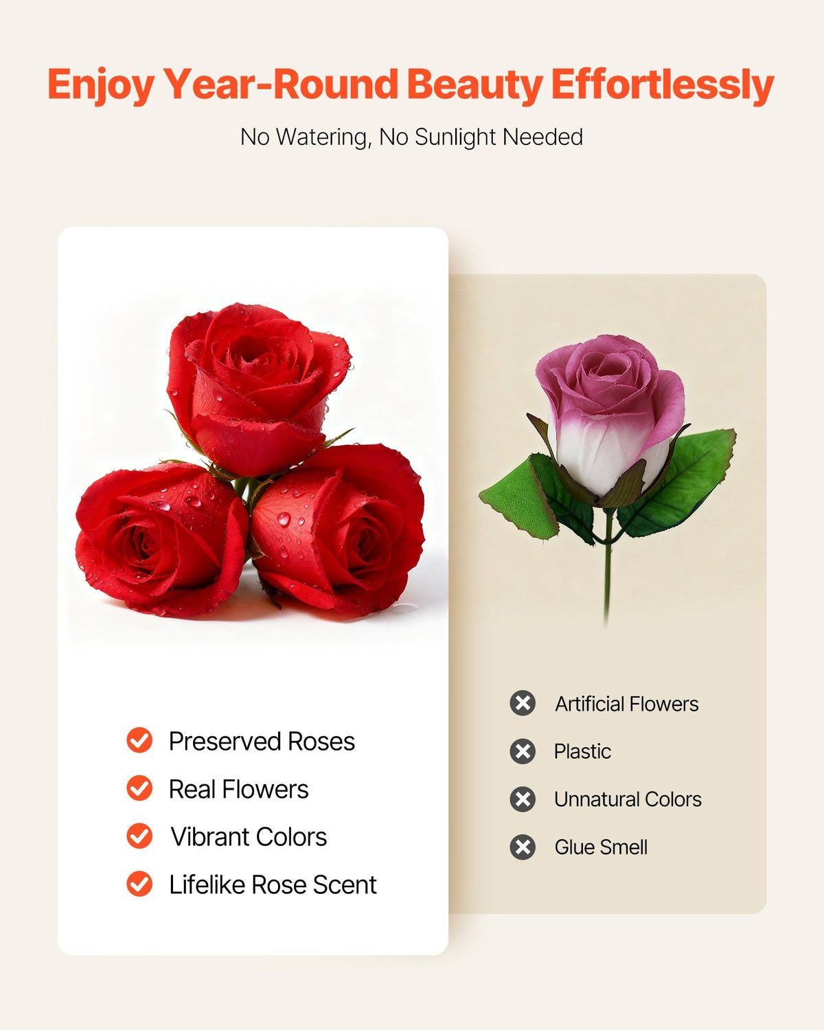 50-Piece Preserved Real Rose Heart Box