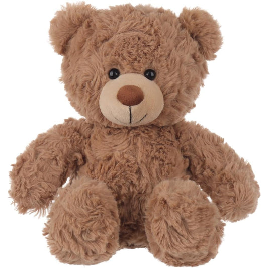 Brown teddy bear on a white background