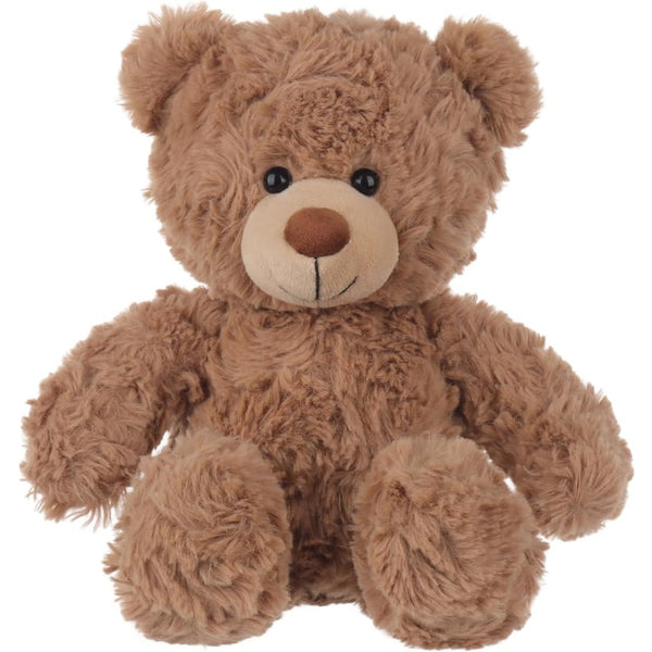 Brown teddy bear on a white background